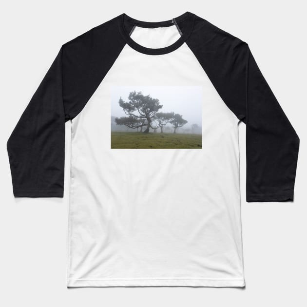 Ancient trees shrouded in fog Baseball T-Shirt by nancy.hajjar@yahoo.com